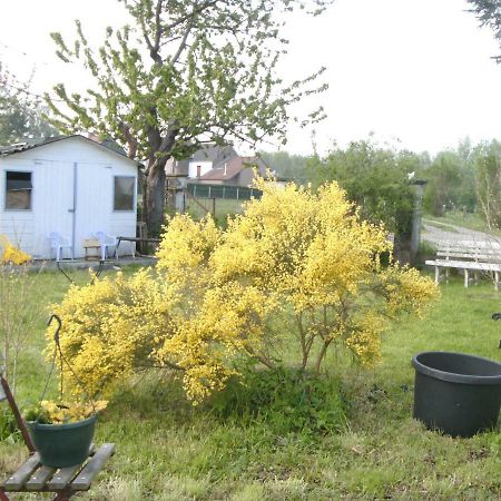 Ferme Lenfant Guest House Ville-Pommeroeul Bagian luar foto