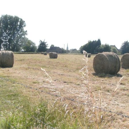 Ferme Lenfant Guest House Ville-Pommeroeul Bagian luar foto