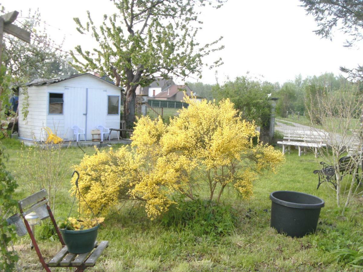 Ferme Lenfant Guest House Ville-Pommeroeul Bagian luar foto