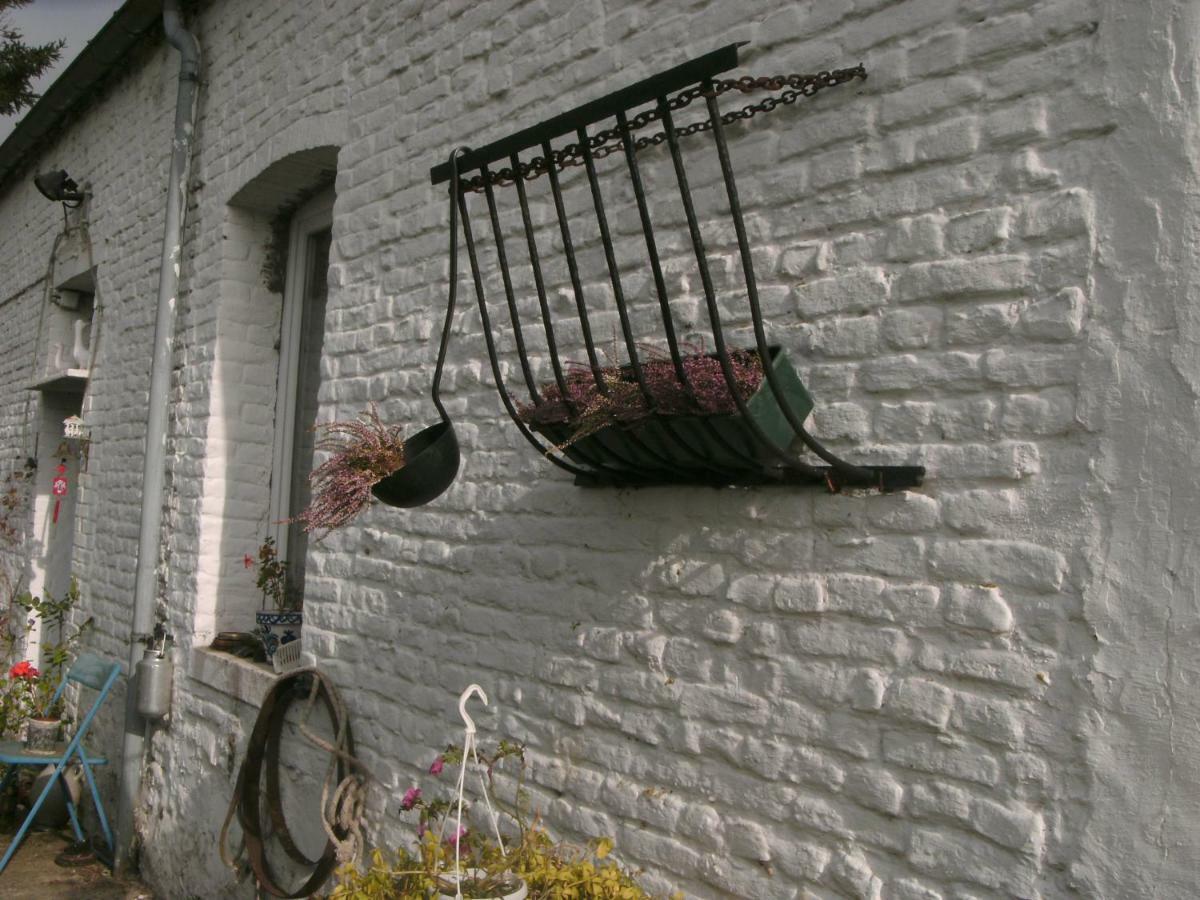 Ferme Lenfant Guest House Ville-Pommeroeul Bagian luar foto